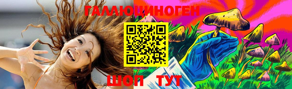Галлюциногенные грибы мухоморы  Вход с VPN  Галлюциногенные грибы Psilocybe  Новозыбков 