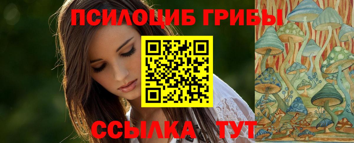 Новозыбков  Вход с VPN  MDMA  Каннабис  Мефедрон   МАРИХУАНА  ГАШИШ  ЭКСТАЗИ 